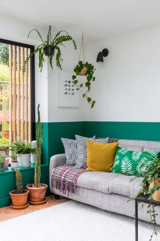 A green and white living room with hung houseplants and potted cacti with grey sofa and assortment of cushions.