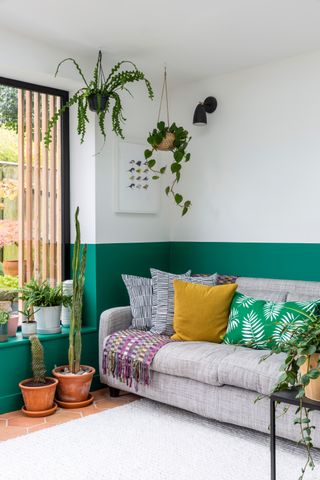 A green and white living room paint color idea with hung houseplants and potted cacti with grey sofa and assortment of cushions.