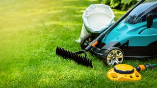 Garden lawn care tools and equipment for perfect green grass