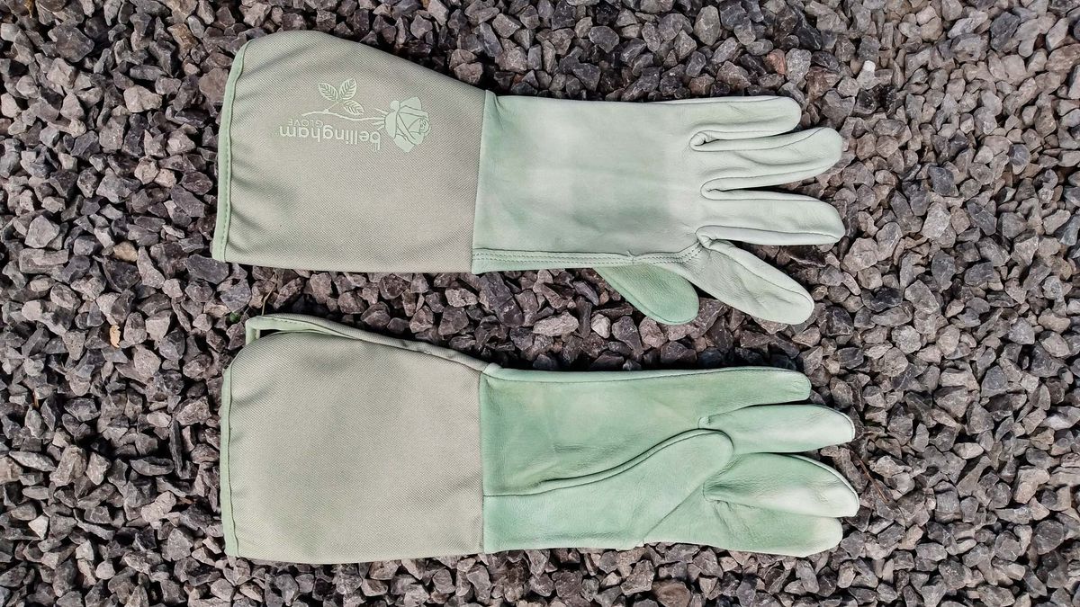 Women&rsquo;s Tuscany Gauntlet Gloves