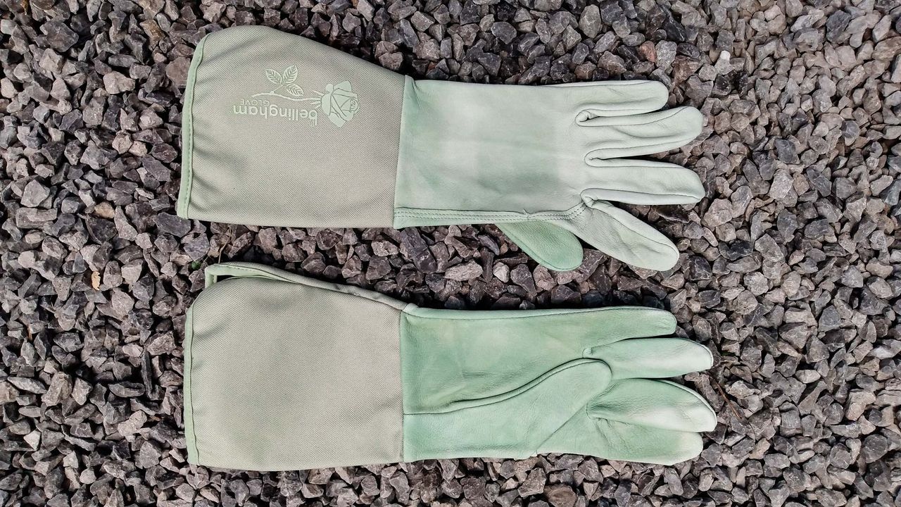 Women&rsquo;s Tuscany Gauntlet Gloves