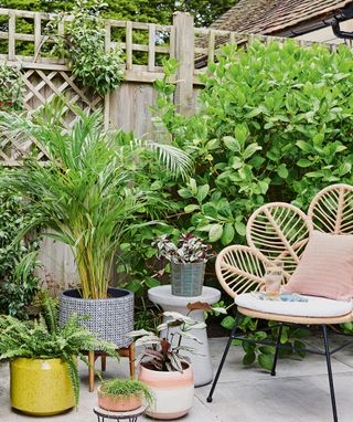 garden area with potted plants and chair