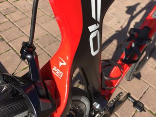 The curves of the rear triangle