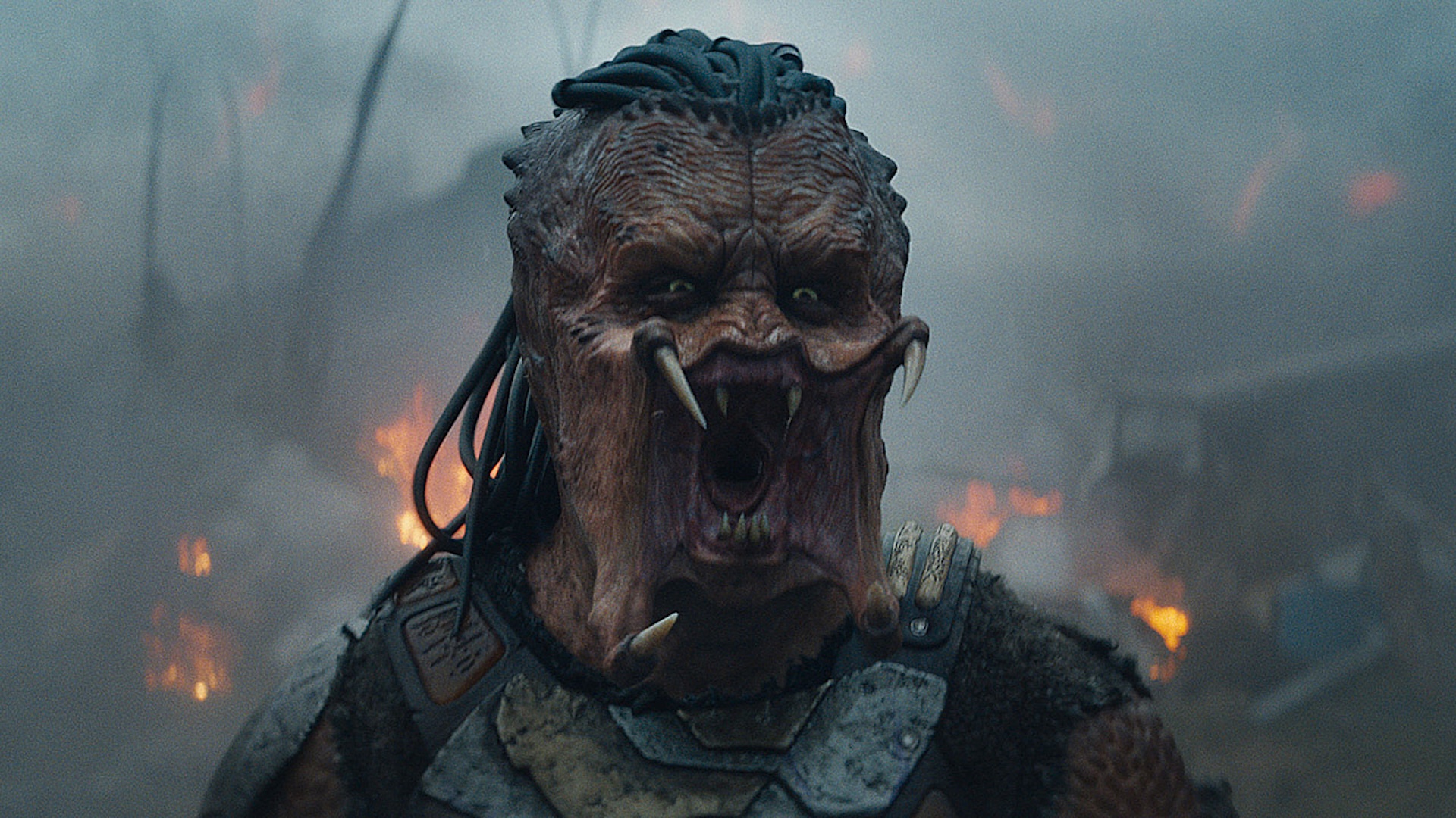 A predator screaming with his mouth open