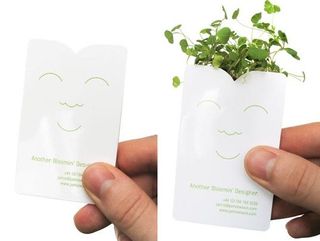 A business card with sprouts of alfalfa growing out of it