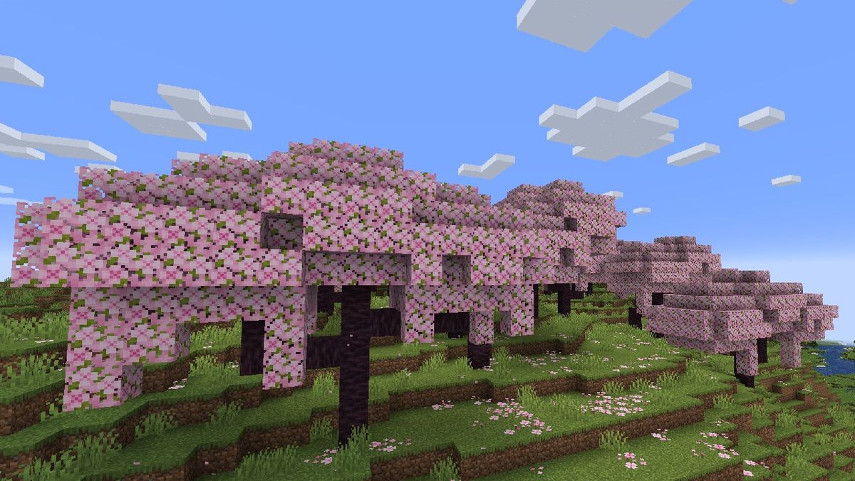 In-game screenshot of the Cherry Blossom biome in Minecraft 1.20.