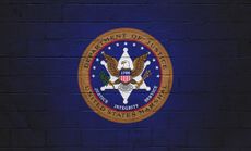 US Marshal Flag painted on a wall
