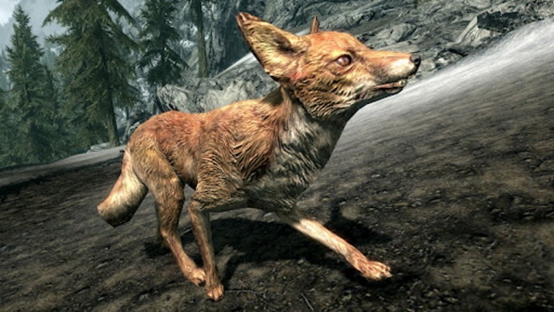 A fox from the game Skyrim