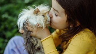 Guinea pig being kissed by child in yellow jumper