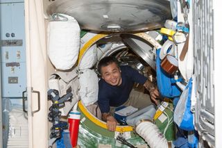 Wakata in ISS Hatch