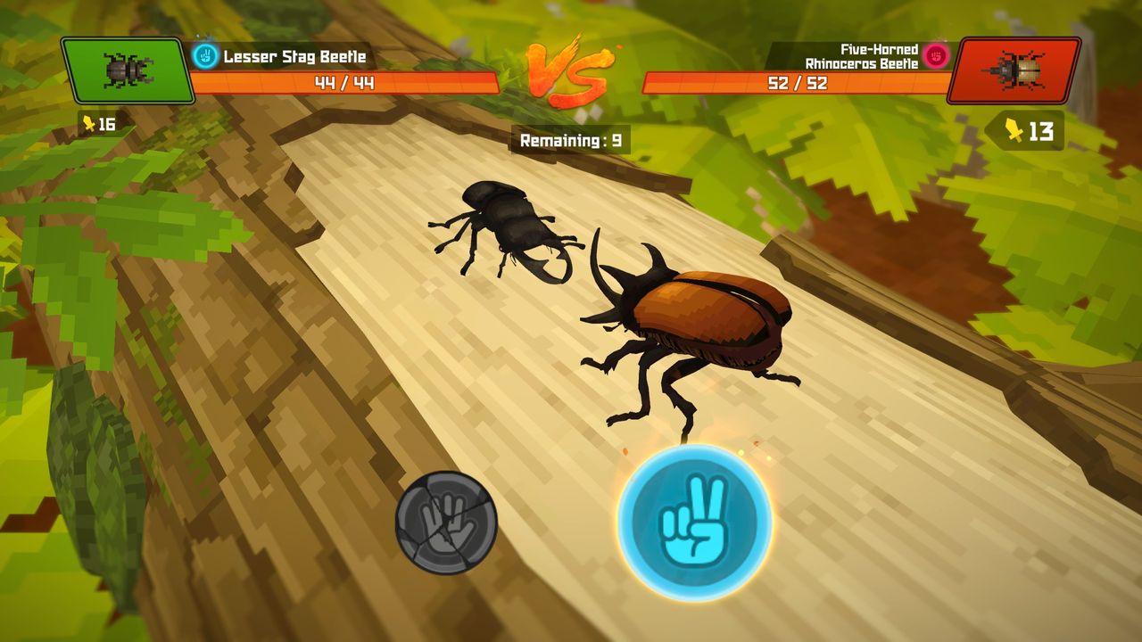 Beetles fighting