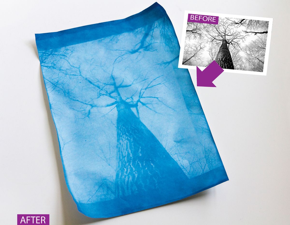 How to make a sunprint cyanotype