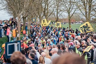 2024 Ronde Van Vlaanderen - The peloton.