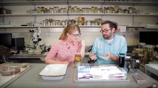 Graslie investigates something fishy with Caleb McMahan, Field Museum ichthyologist and Collection Manager of Fishes.