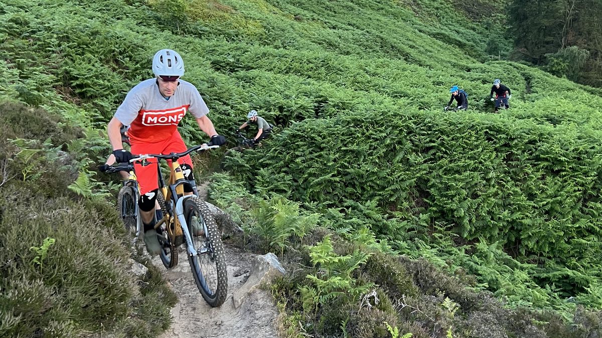 Mountain bike riders in bracken