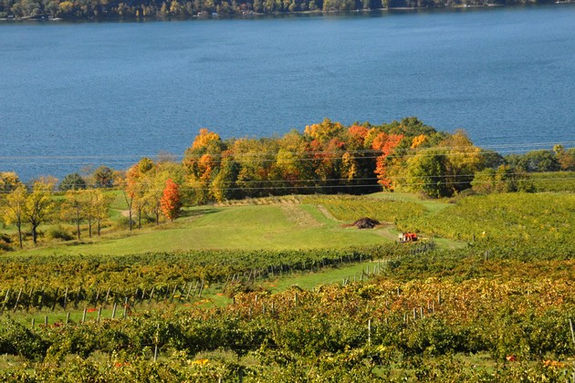 Finger Lakes Wine Tour, Atwater Finger Lakes,