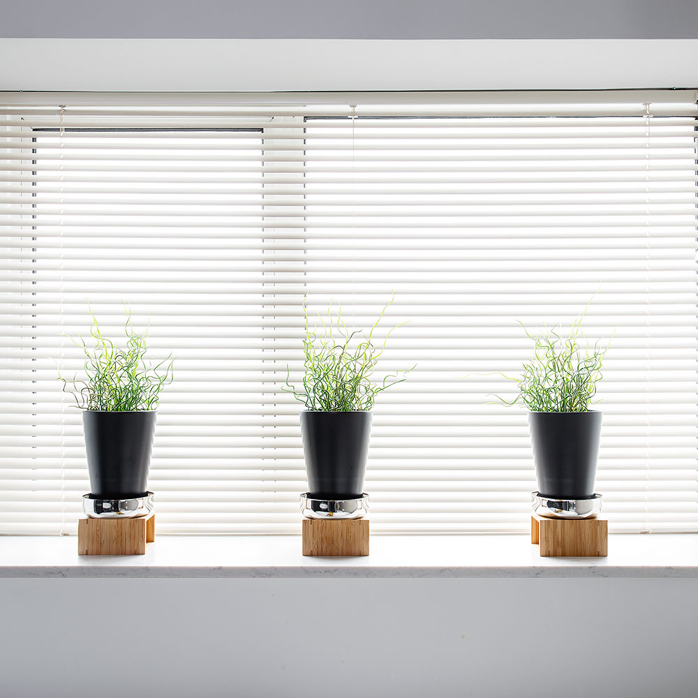 white bathroom with potted plants