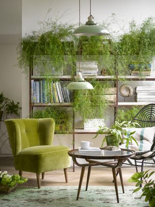 White and green living room with open wooden shelving and large collection of houseplants