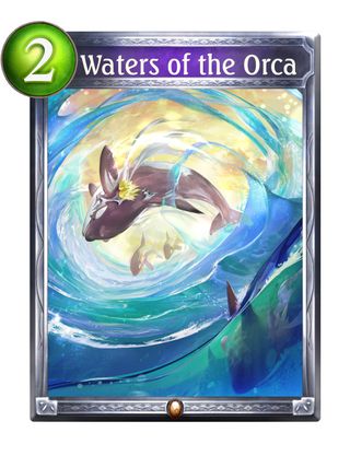 Waters of the Orca