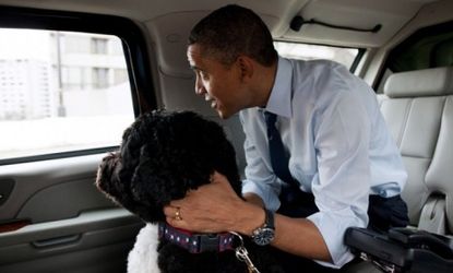 Obama and his dog Bo