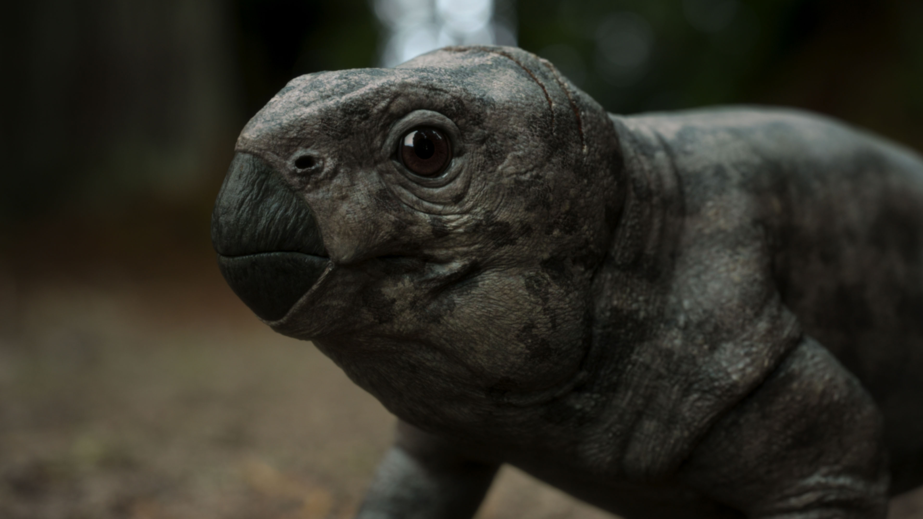 Scenes from a nature documentary made with CG