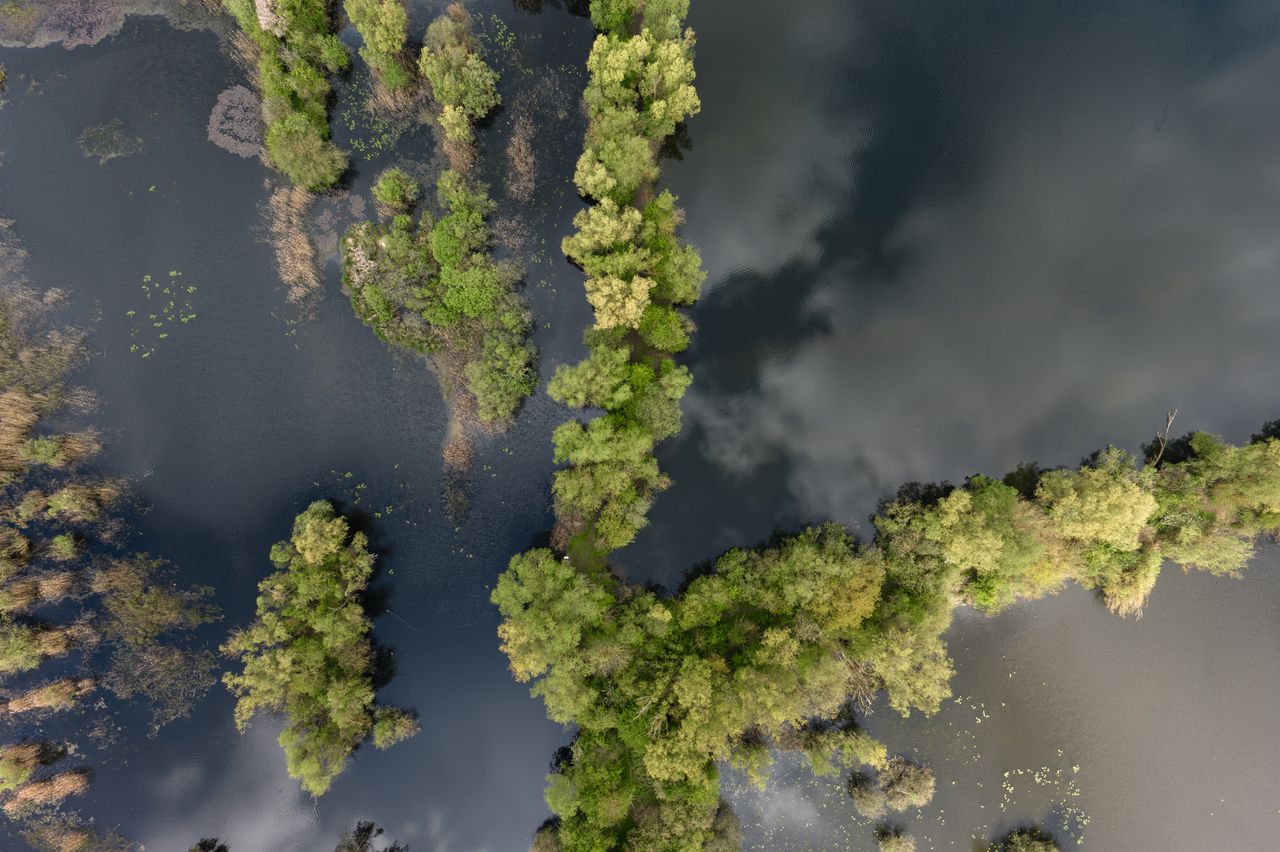 Image taken by the DJI Inspire 3 drone. Here we see an aerial view of a marsh, with several trees dotted around surrounded by water.