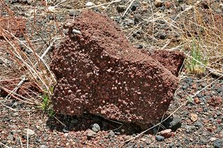 The Springerville Volcanic Field, types of volcanoes