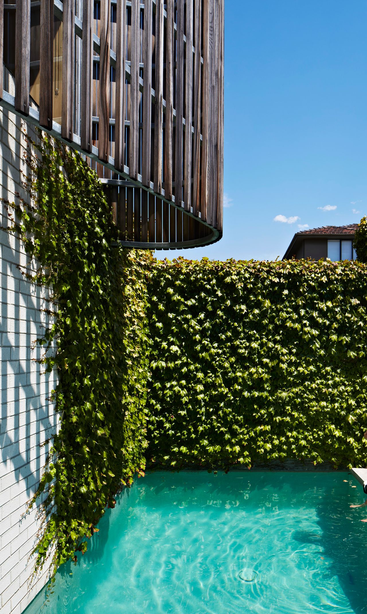 Small swimming pool with green wall used as a barrier