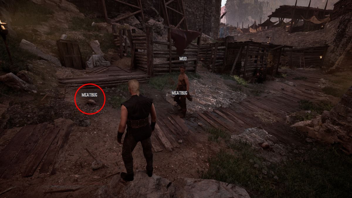 Gothic Remake Snaf's Recipe: A player looking at meatbugs in the Old Camp, one of which is circled in red.