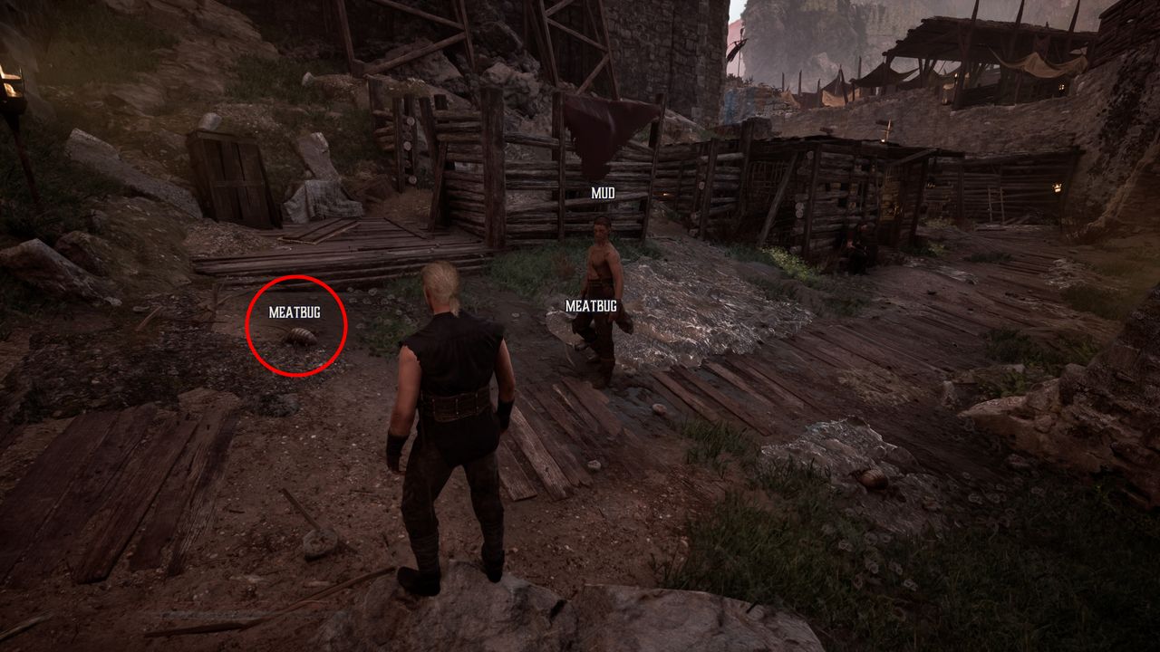 Gothic Remake Snaf's Recipe: A player looking at meatbugs in the Old Camp, one of which is circled in red.