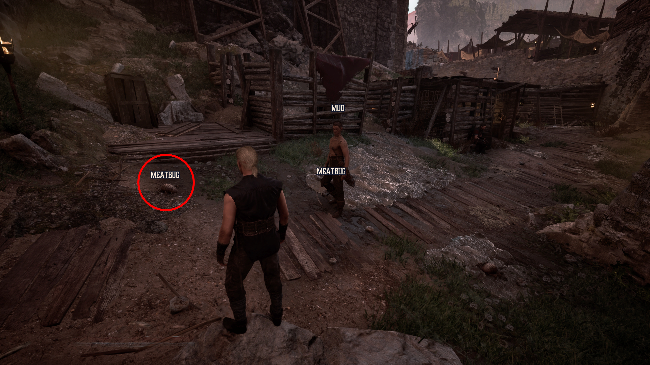 Gothic Remake Snaf's Recipe: A player looking at meatbugs in the Old Camp, one of which is circled in red.