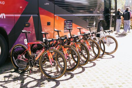 Women's flanders gallery