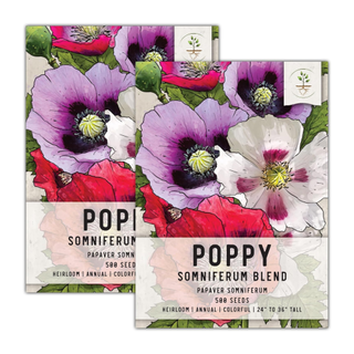 A set of 2 poppy seed sachets