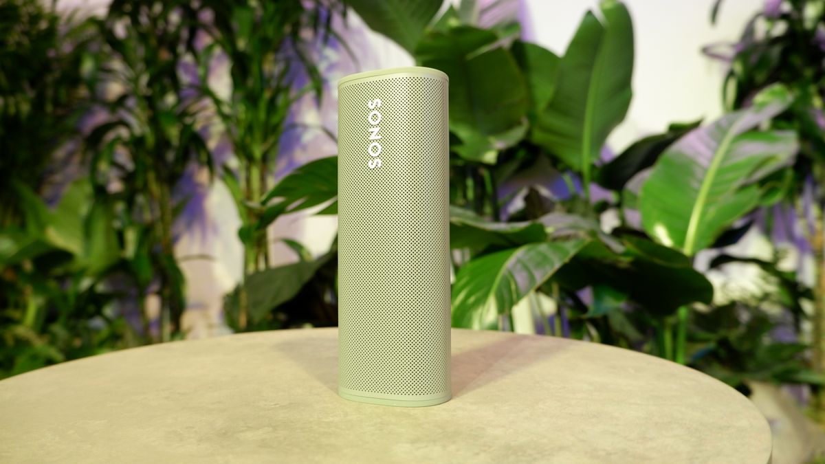 Sonos Roam in green