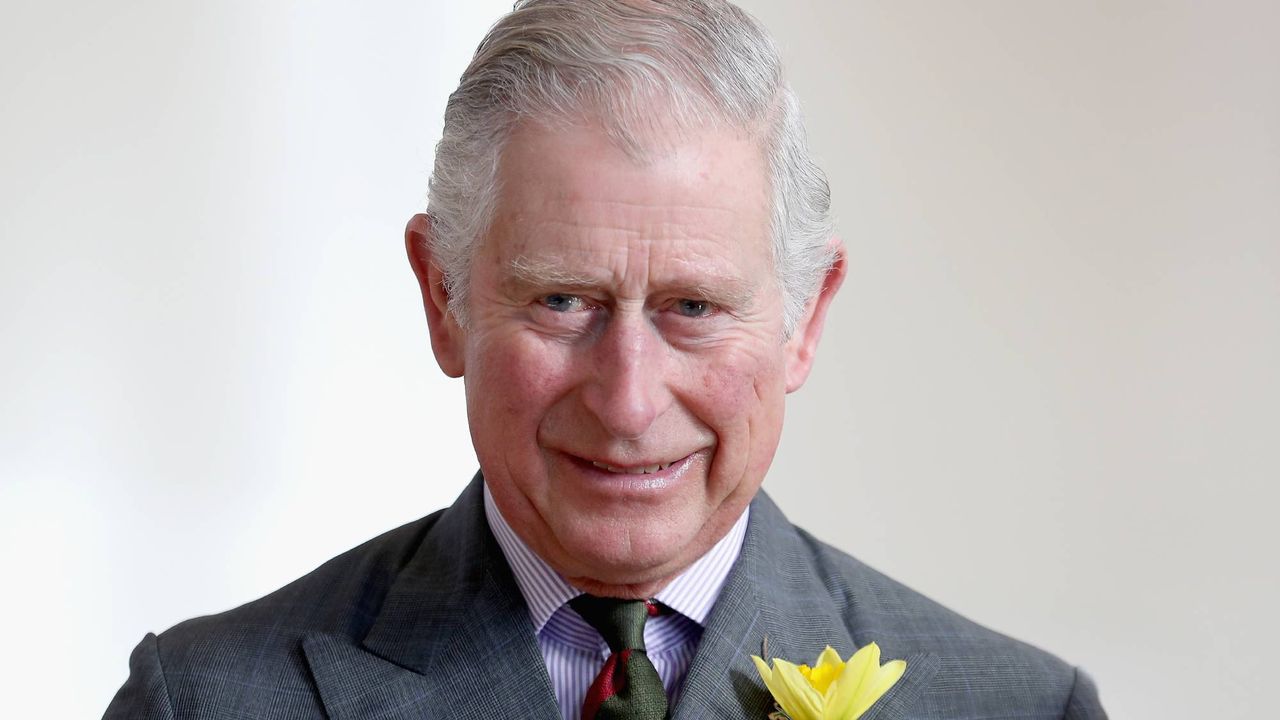 prince charles 644837224