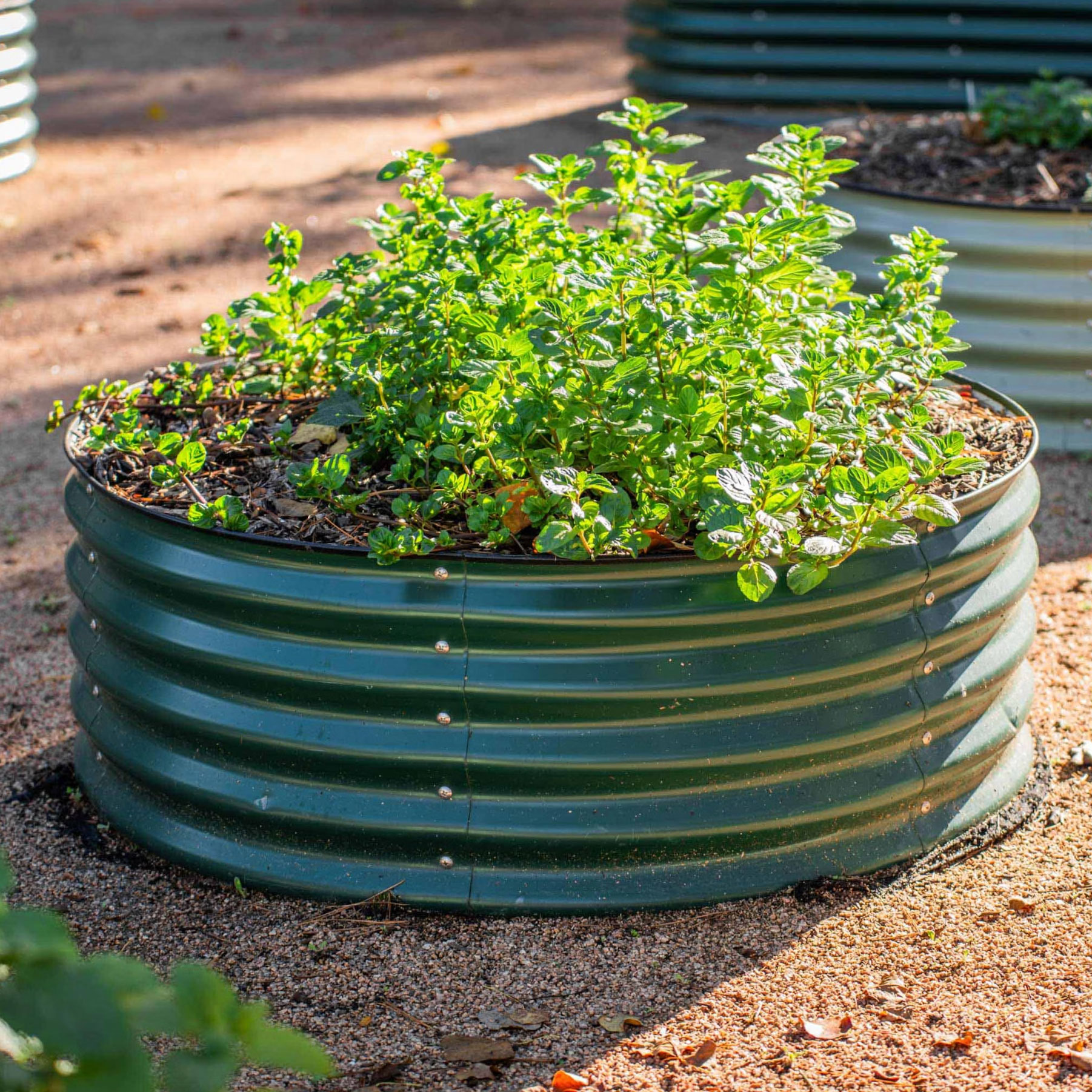 Vego Garden circular corrugated raised bed with plants