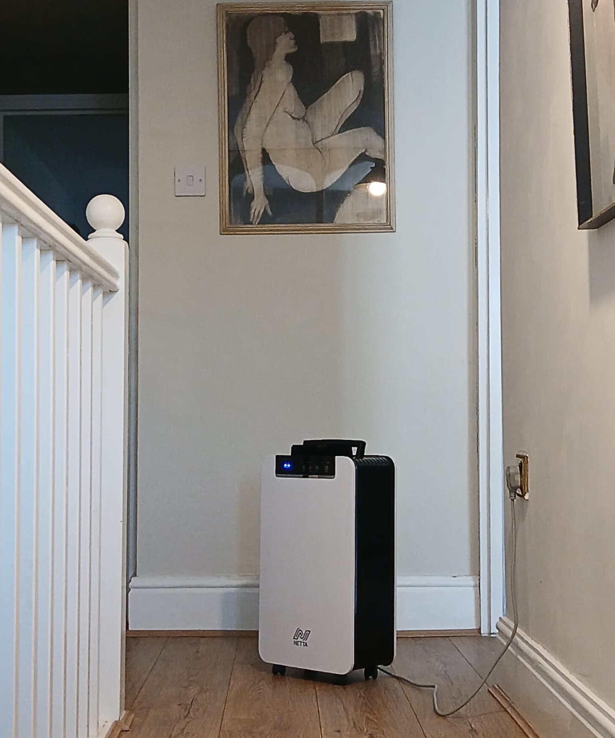 White and black Netta dehumidifier on a wooden-floored landing below a framed figure painting, beside white banisters