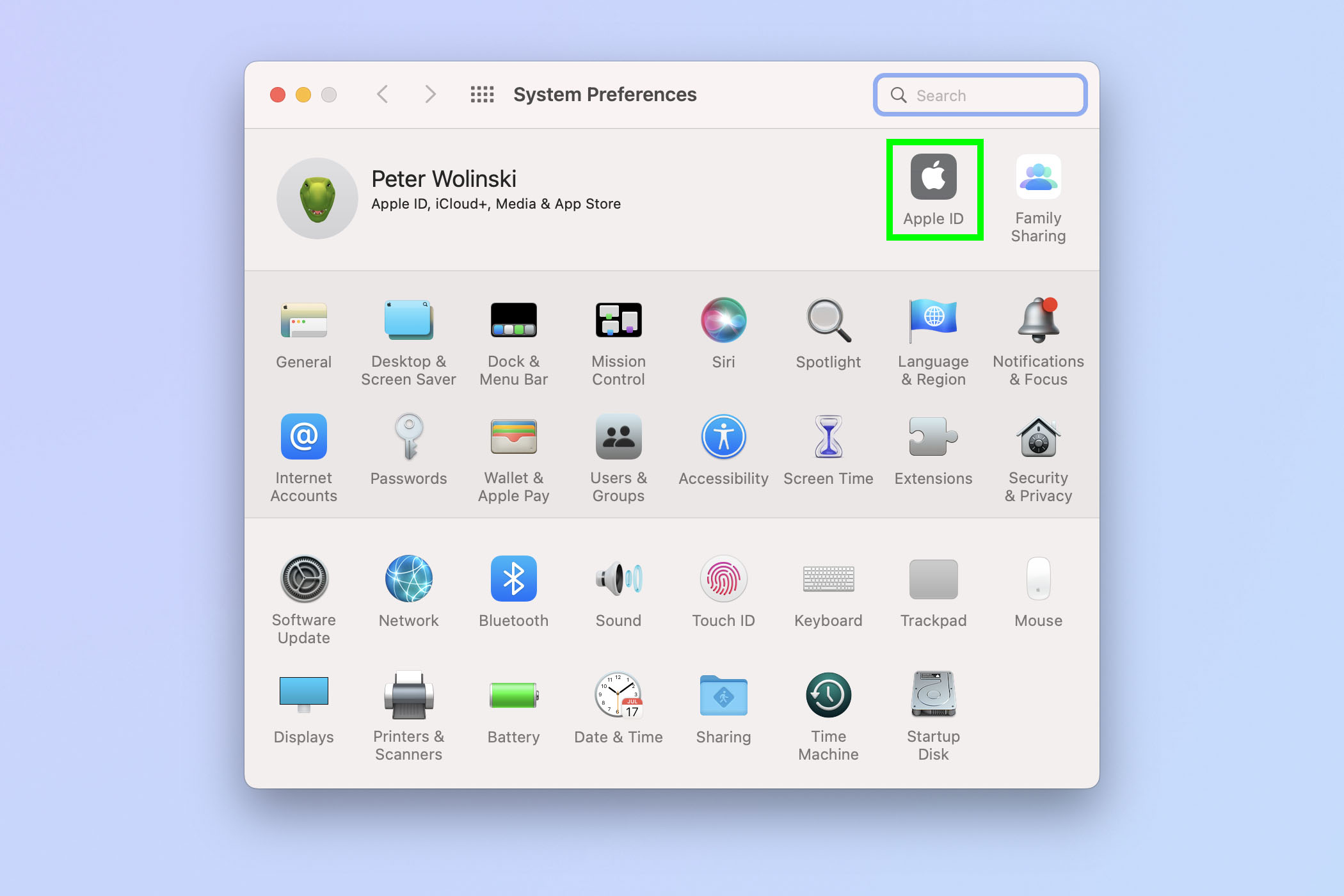 Снимок экрана, показывающий, как найти свой Apple ID на Mac, в который вы вошли
