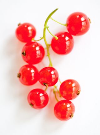 22. Use Redcurrants To Help Jam Set