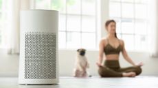 woman doing yoga with her dog in front of air purifier