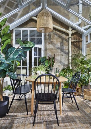 invisible conservatory for dining room with plants