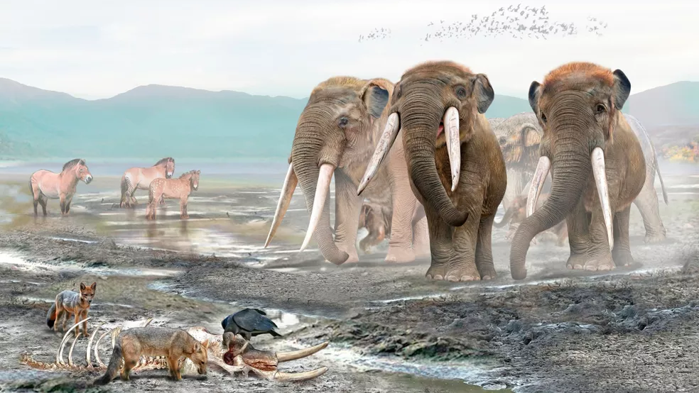 13,000-year-old butchered bones of long-tusked beast found in Chile give more evidence of early first Americans