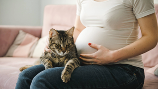 Pregnant person sitting down and holding stomach with a cat sat on their lap