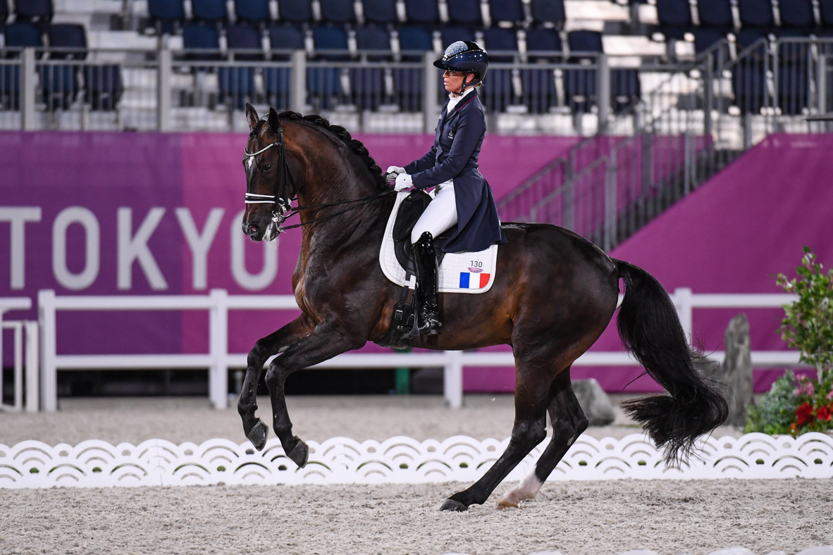 Morgan Barbancon and Sir Donnerhall II OLD at the Tokyo Olympics