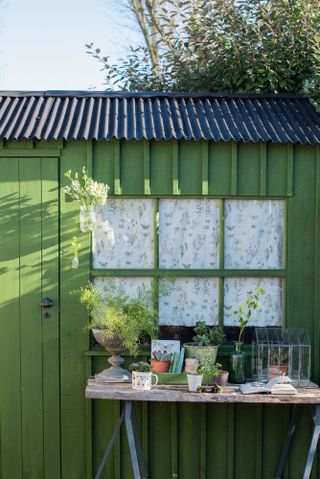 Image shows a green painted shed with patterned roll blinds in the window