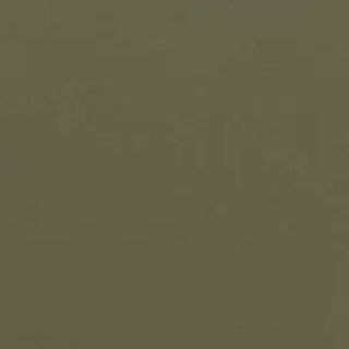 Green 05: Dusky Olive Green Paint