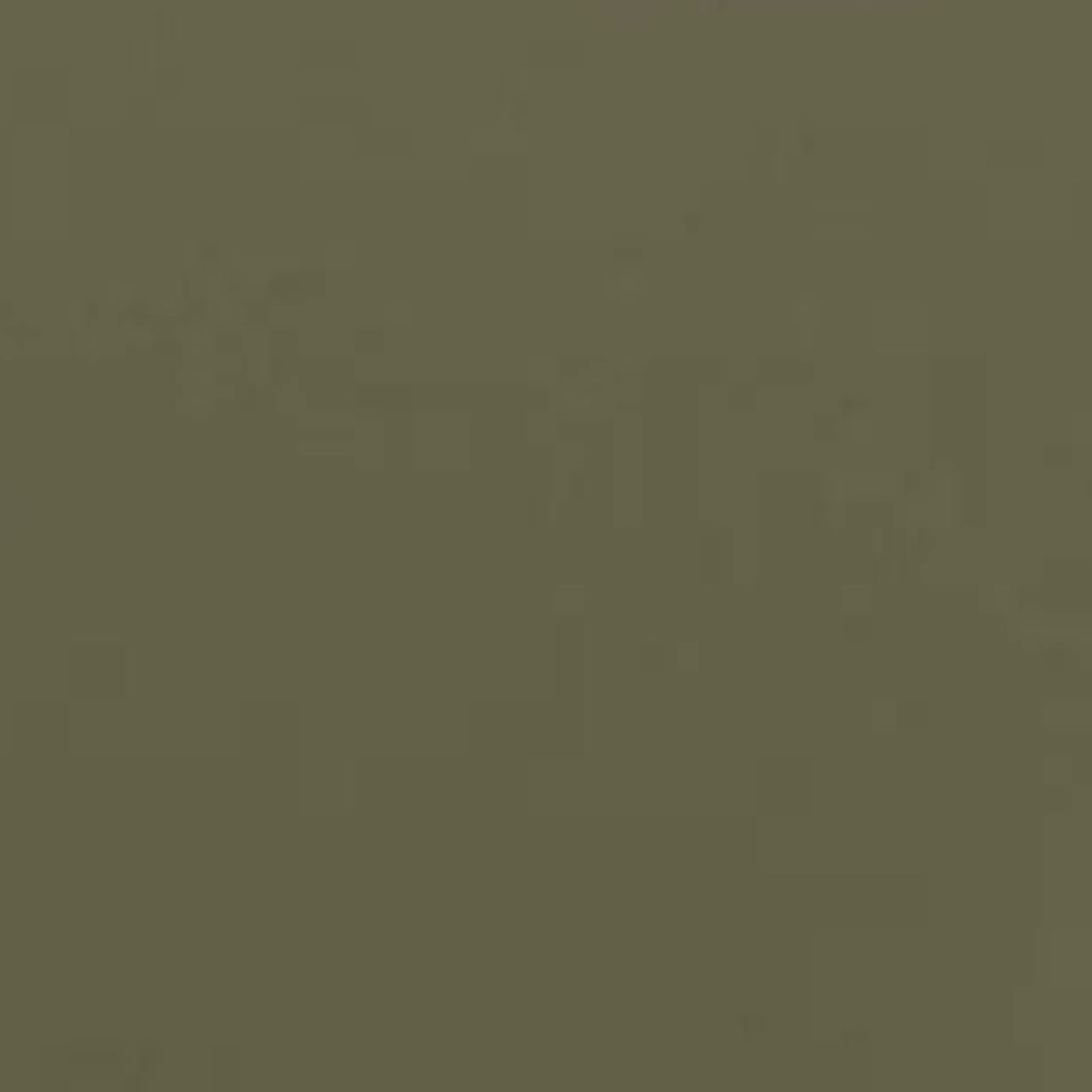 Green 05: Dusky Olive Green Paint