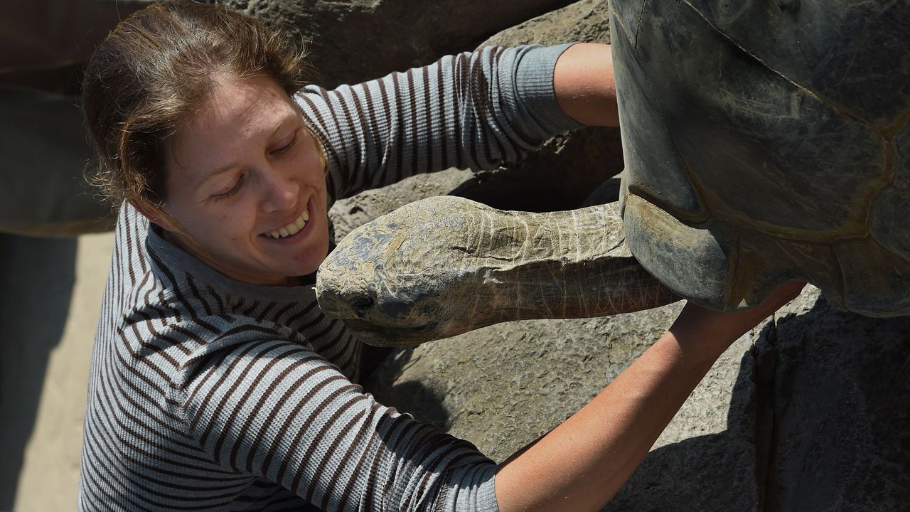 Today's biggest science news: Shenzhou-22 relieves stranded astronauts | Ancient volcano erupts | 'Other' comet ATLAS disintegrates