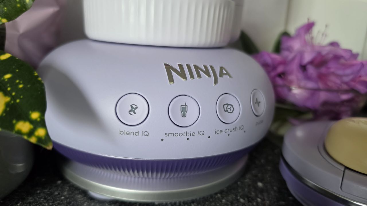 Ninja BlendBoss
