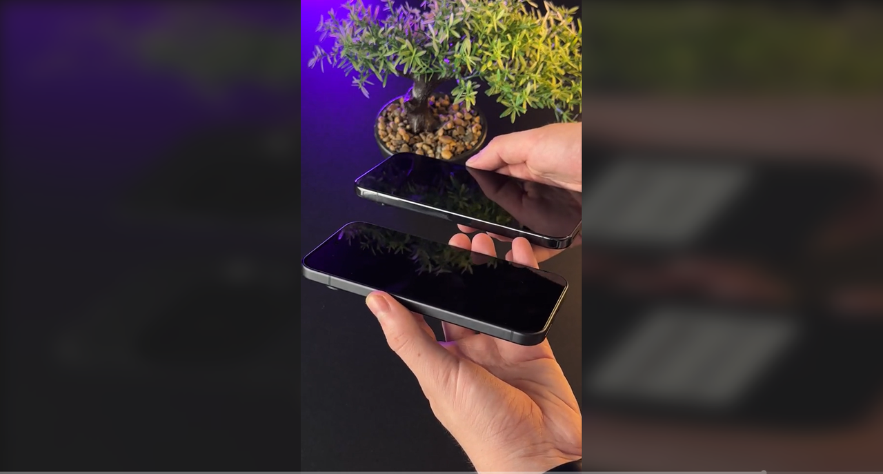 Leaked image of screens of Pixel 9 and Pixel 9 Pro phones
